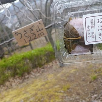 実はここで400座🐇✨
今日400座になるって
途中で言ったら
今日の相方さんが
買ってくれたー✨✨✨✨✨
