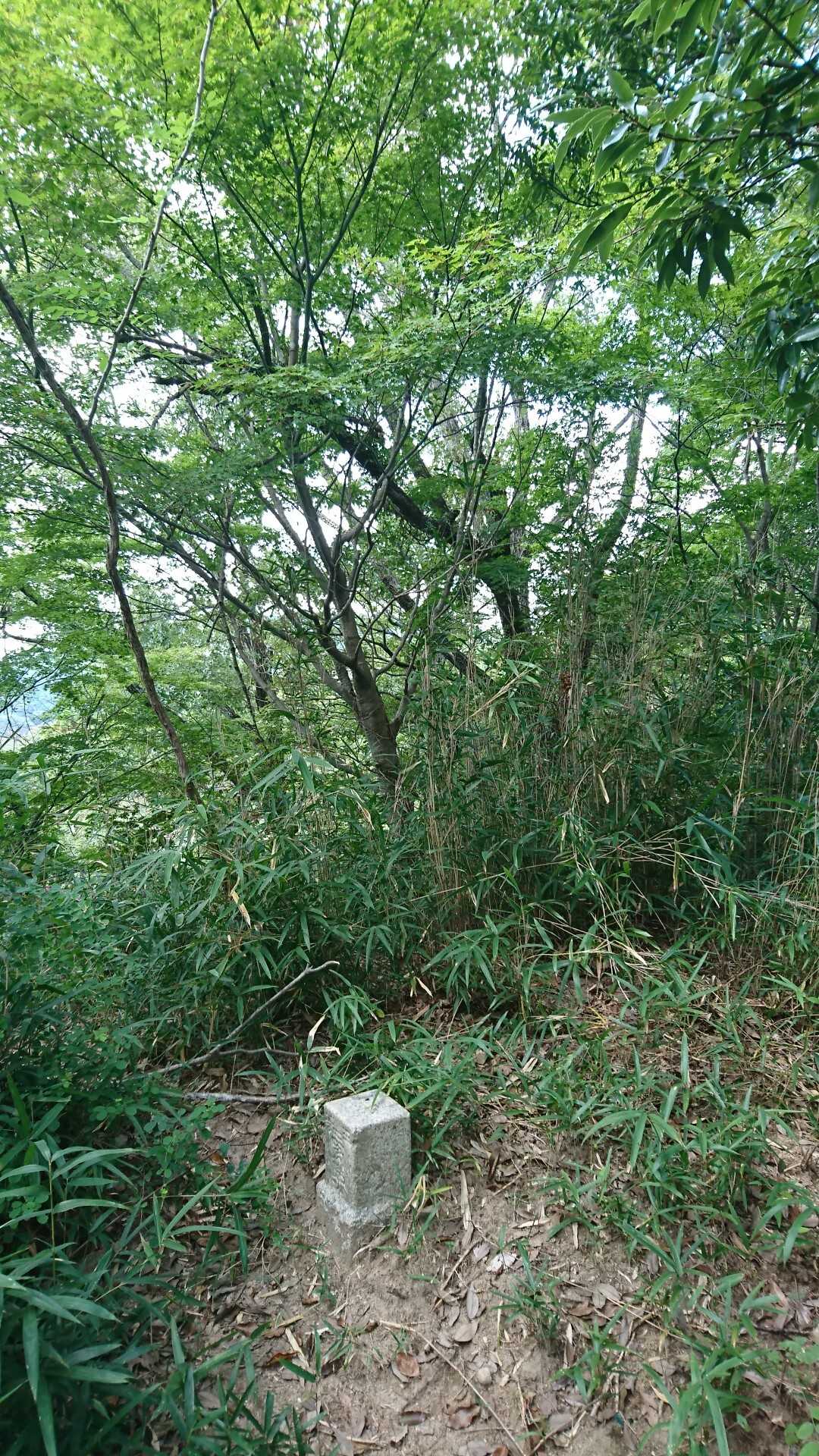 堂徳山の写真