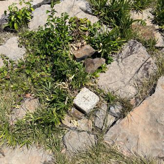 岩のステージみたいになっている中心あたりに三角点発見。