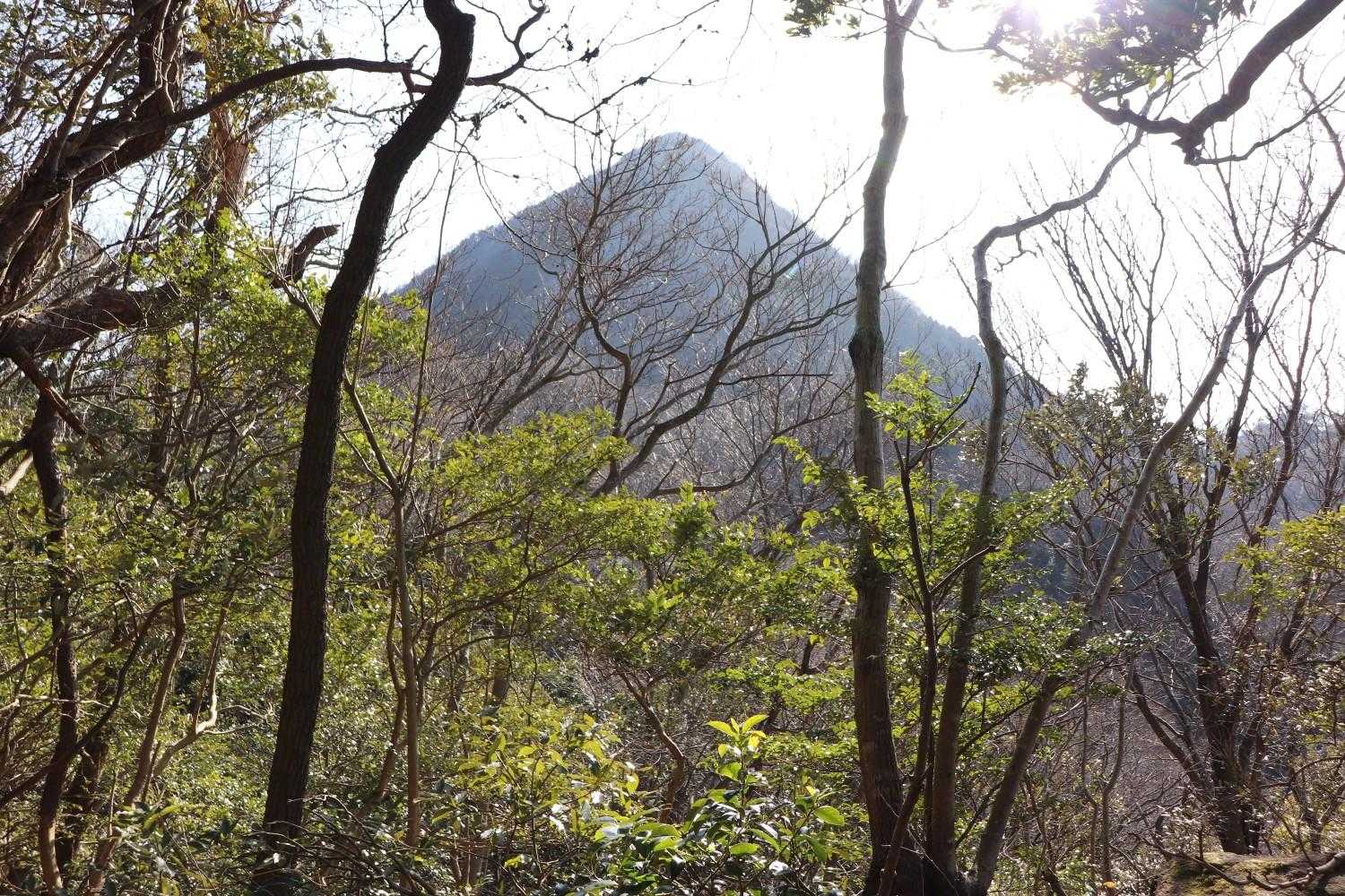 千燈岳、綺麗な三角形の山です⛰️