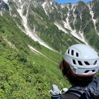 か〜みんみん♪