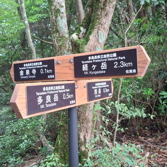 この分岐を経ガ岳の方へ🚶