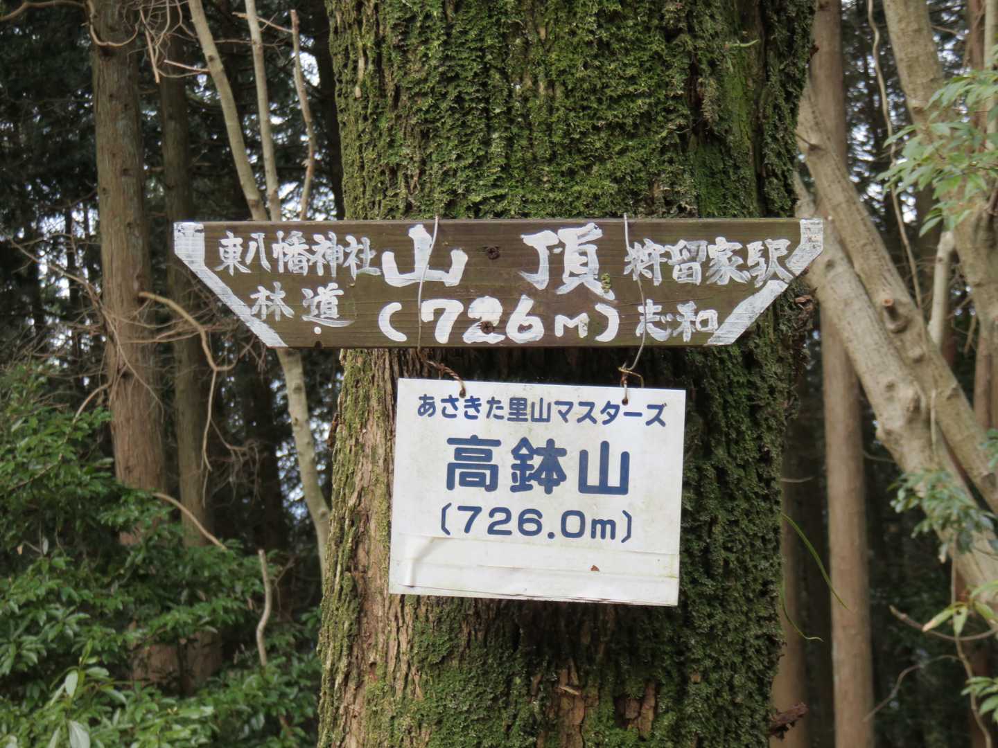 高鉢山の山頂です