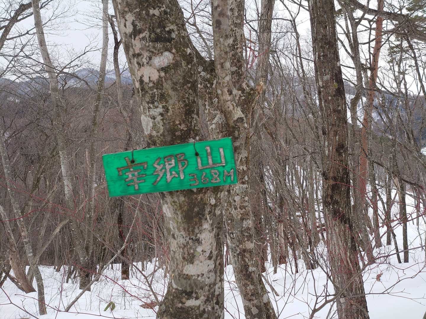 宰郷山❗🗻
何て読むのかな⁉️
サイゴーサン⁉️🤔ﾜｶﾗﾝ ﾃﾞｺﾞﾜｽ