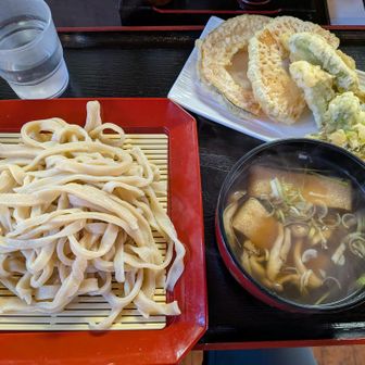 手打ちうどんと、単品の天ぷら3品を注文。ふきのとうの天ぷらを食べてみたかったのです。見た瞬間、天ぷら頼み過ぎたぁー😱と思いましたが何とか食べられました。おいしかったので次は家族を連れてこようと思います。お腹重いけど頑張って歩いてカロリー消費しよ💪
