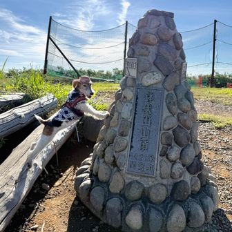鉢伏山に 登ったどうー　2回目でちゅ