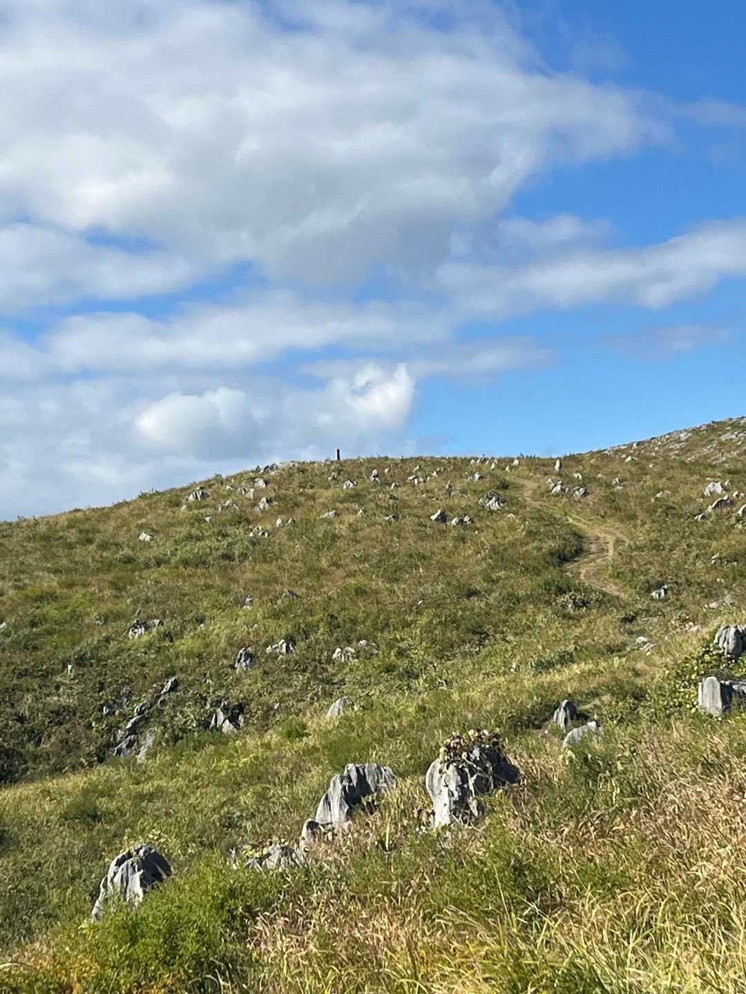 長者ヶ森登山口-北山-地獄台-冠山 往復コースの写真