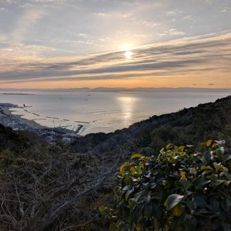 だいぶ高く上がったな