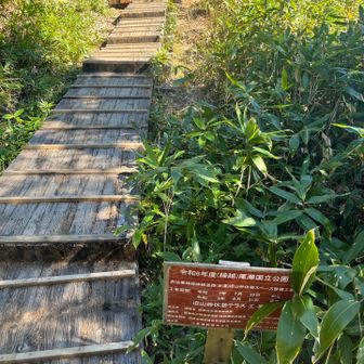 休憩テラス。一部使用できるようになってました。　※人が座っている所