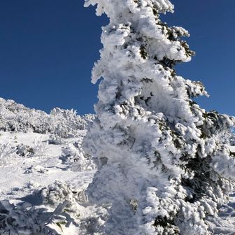 もう少しかな

リトルモンスター