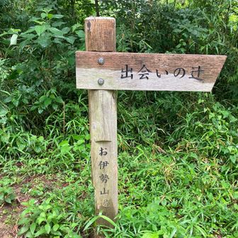 お伊勢山登頂、こちらも歩いてたら過ぎてました。