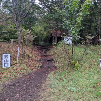 とりあえず、開始。

距離10km程度で上り1400mということは急登がかなり多そう。汗