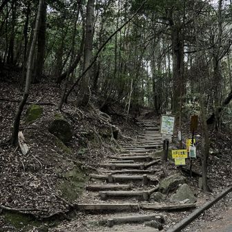 尻尾軌跡作成後、御門杉から背中作成