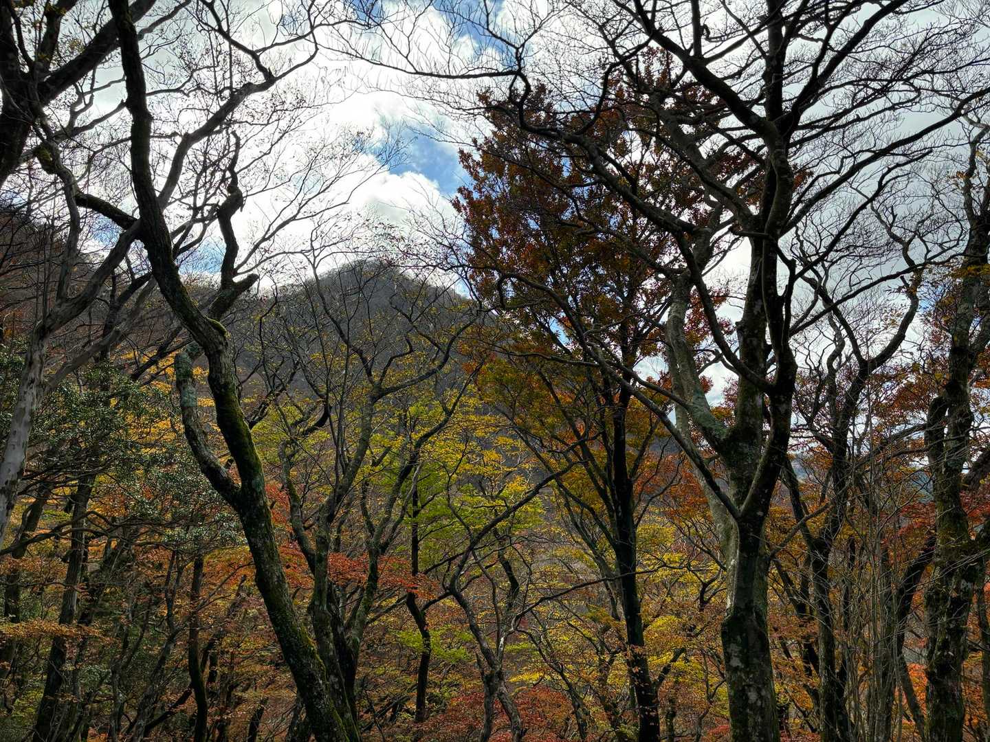 金時山、雲無くなってますね