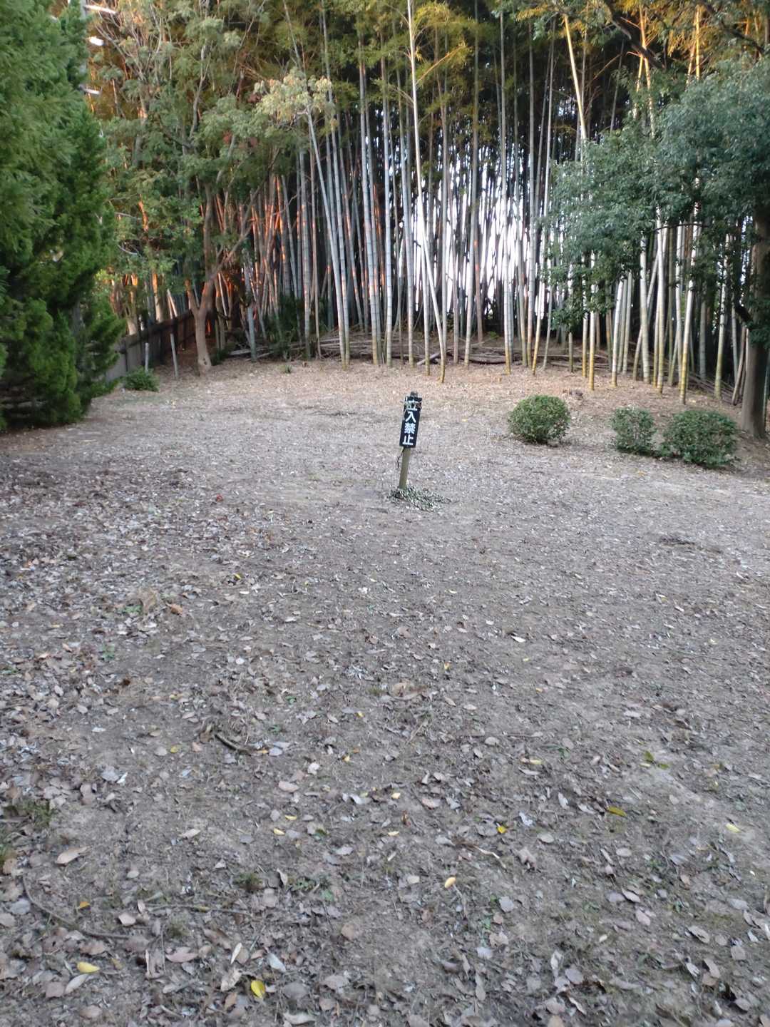 うむぅ…引き返して別ルートへ