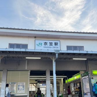 　ゴールの衣笠駅に到着。NewDaysでサンドイッチとチルドのカフェオレを購入した。
　グリーン車を利用するのは、ここ最近、隣に体格の良いおじさんが座る確率が高く、しかも居眠りをすると、ほぼこちらにもたれかかってくるからことも一つの理由。
　車窓を流れる夕暮れの街並みを眺めながら過ごす心地よい時間と睡魔。気づけば列車は、夜の帳が下りた都県境の江戸川橋梁を渡っていた。

おしまい🔚