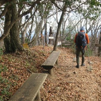 ハチザス沢ノ頭に到着、ベンチあり〼