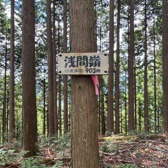 六つ目