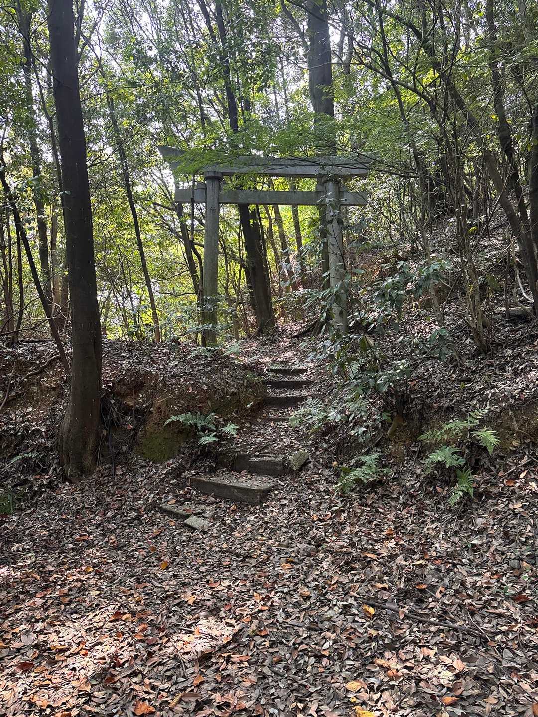 多度山登山口-多度山-多度山道入口 周回コースの写真