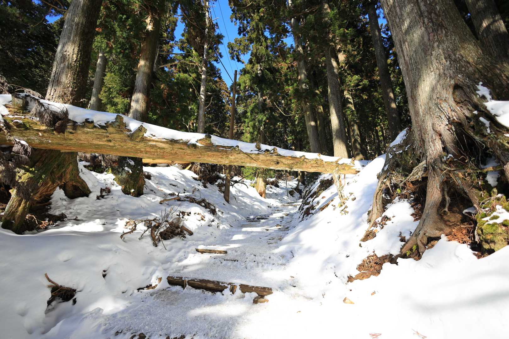 荒神峠-愛宕山 往復コースの写真