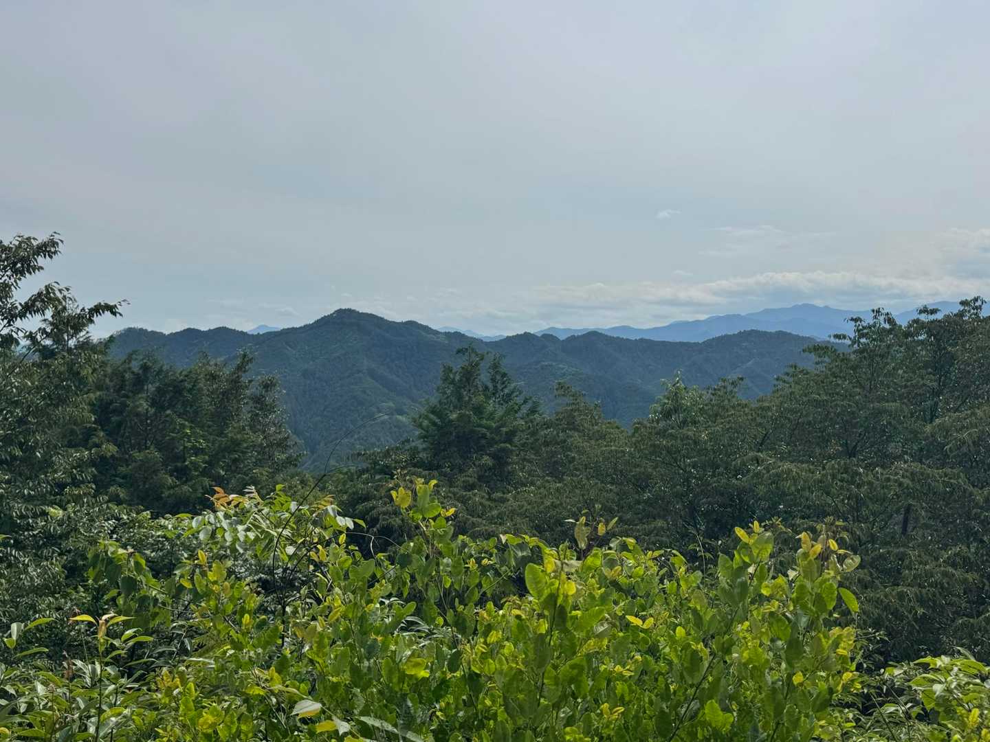飯能アルプスや右奥には奥多摩が見える🏔️