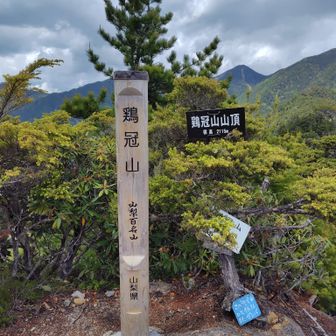 鶏冠山頂