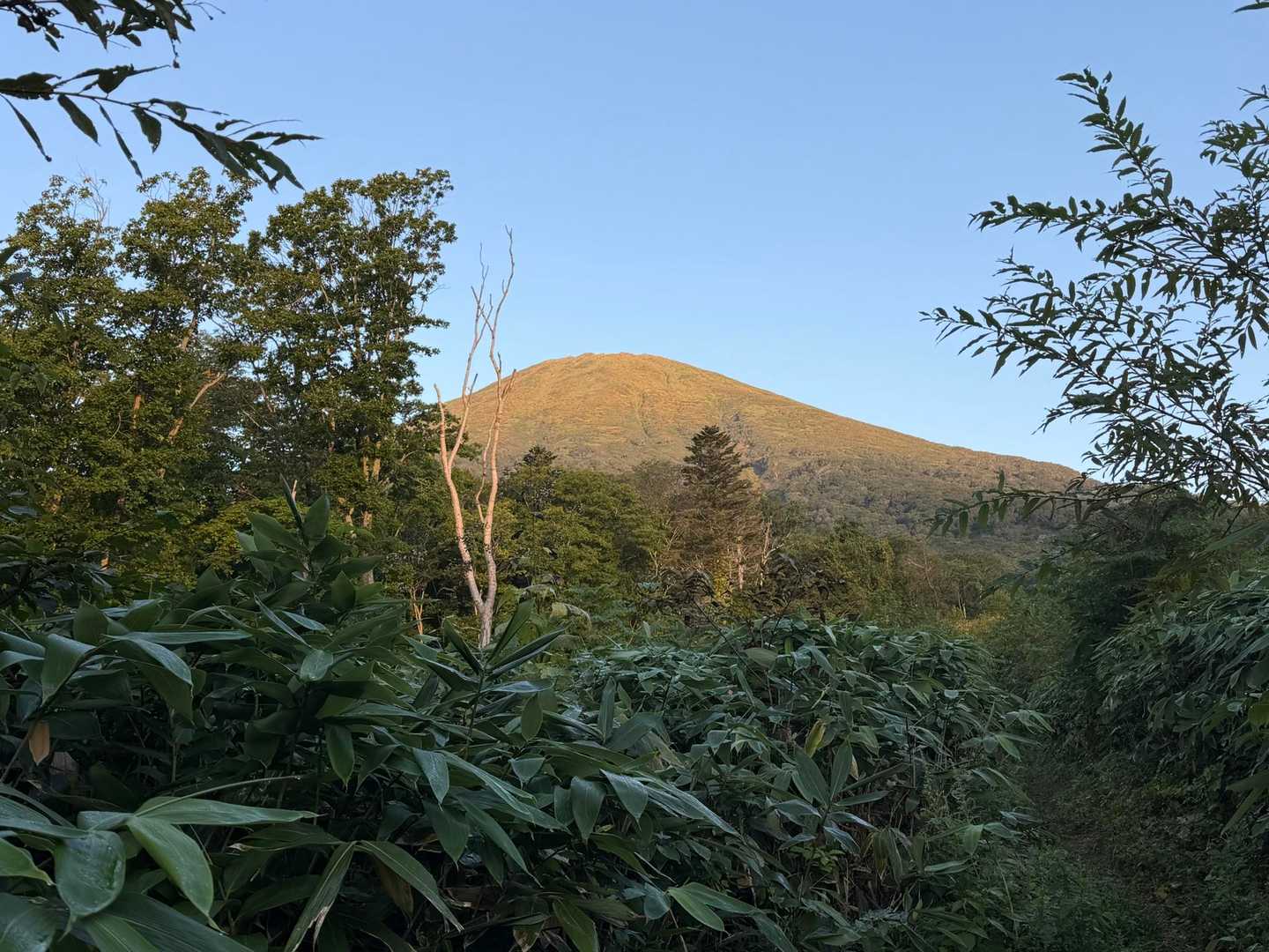 天気👍ですね