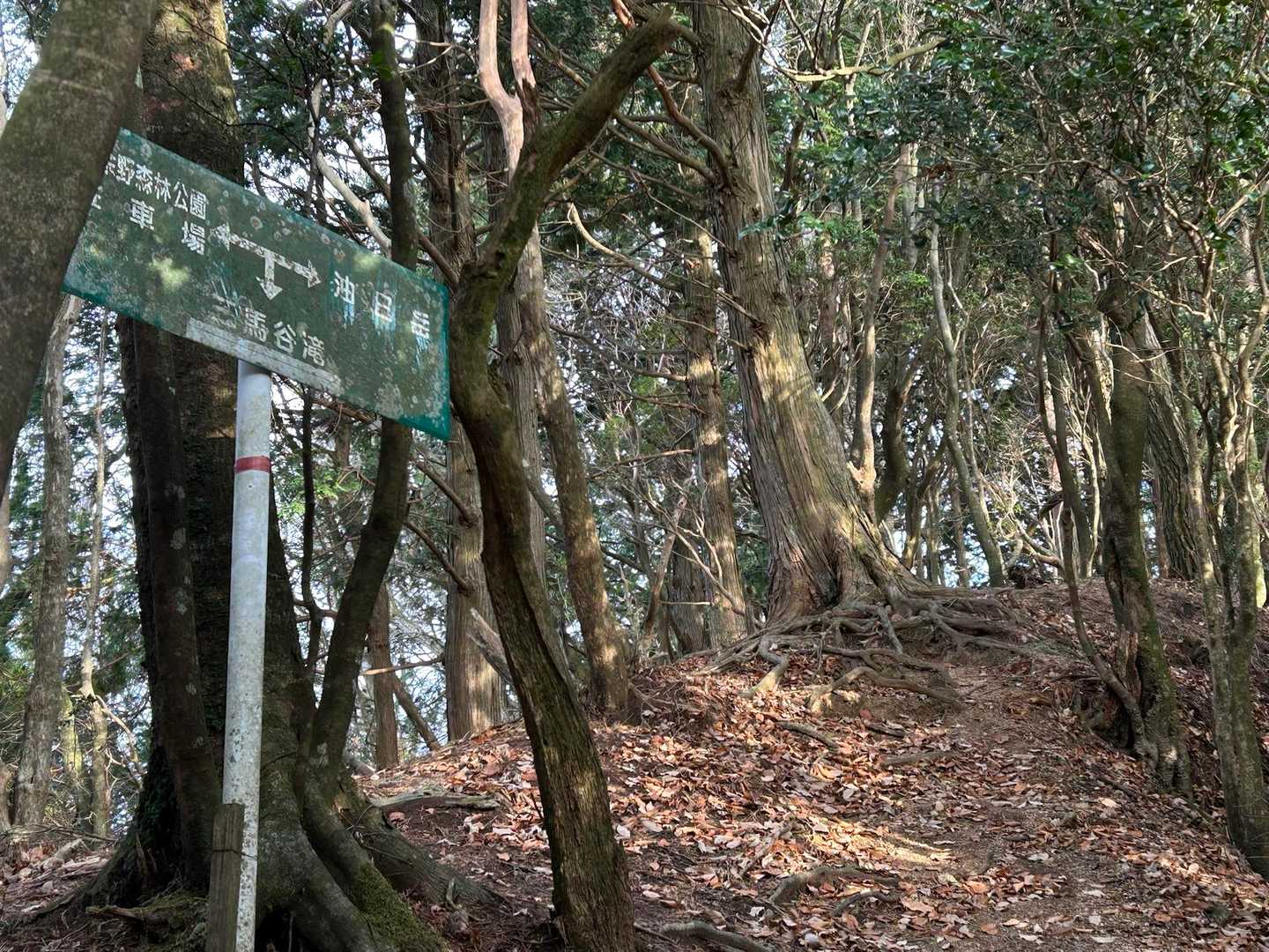 まだまだ…