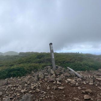 焼石岳山頂