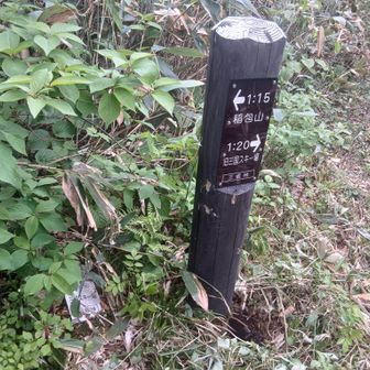 三坂峠