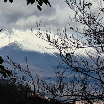 うまく撮れなかったのですが、どでかい富士山に終始見守られていました