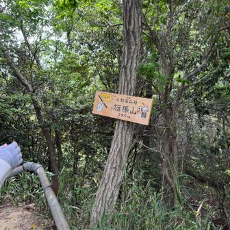 旗振山に到着です⛰️
交野市最高峰です♪
交野山より4m高いです