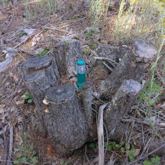 でも残念ながらちょっと見当たらないので
これで△愛宕山