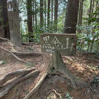 七座目　黒金山登頂です⛰️