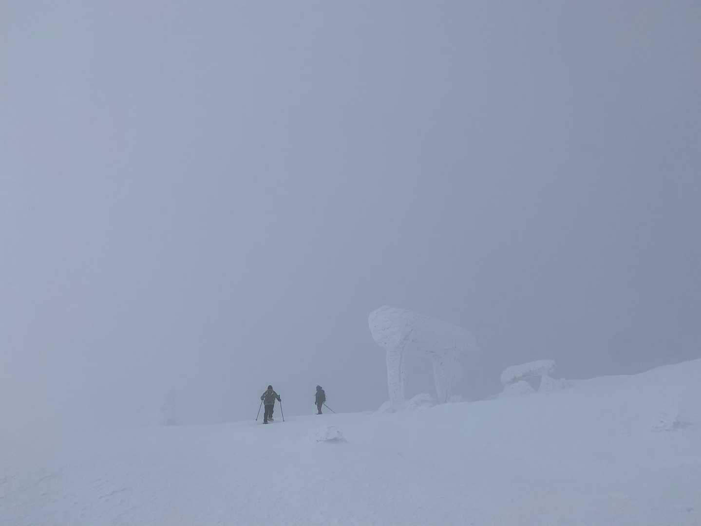 蔵王ライザワールド-仙人沢コース登山口-刈田岳 往復コースの写真
