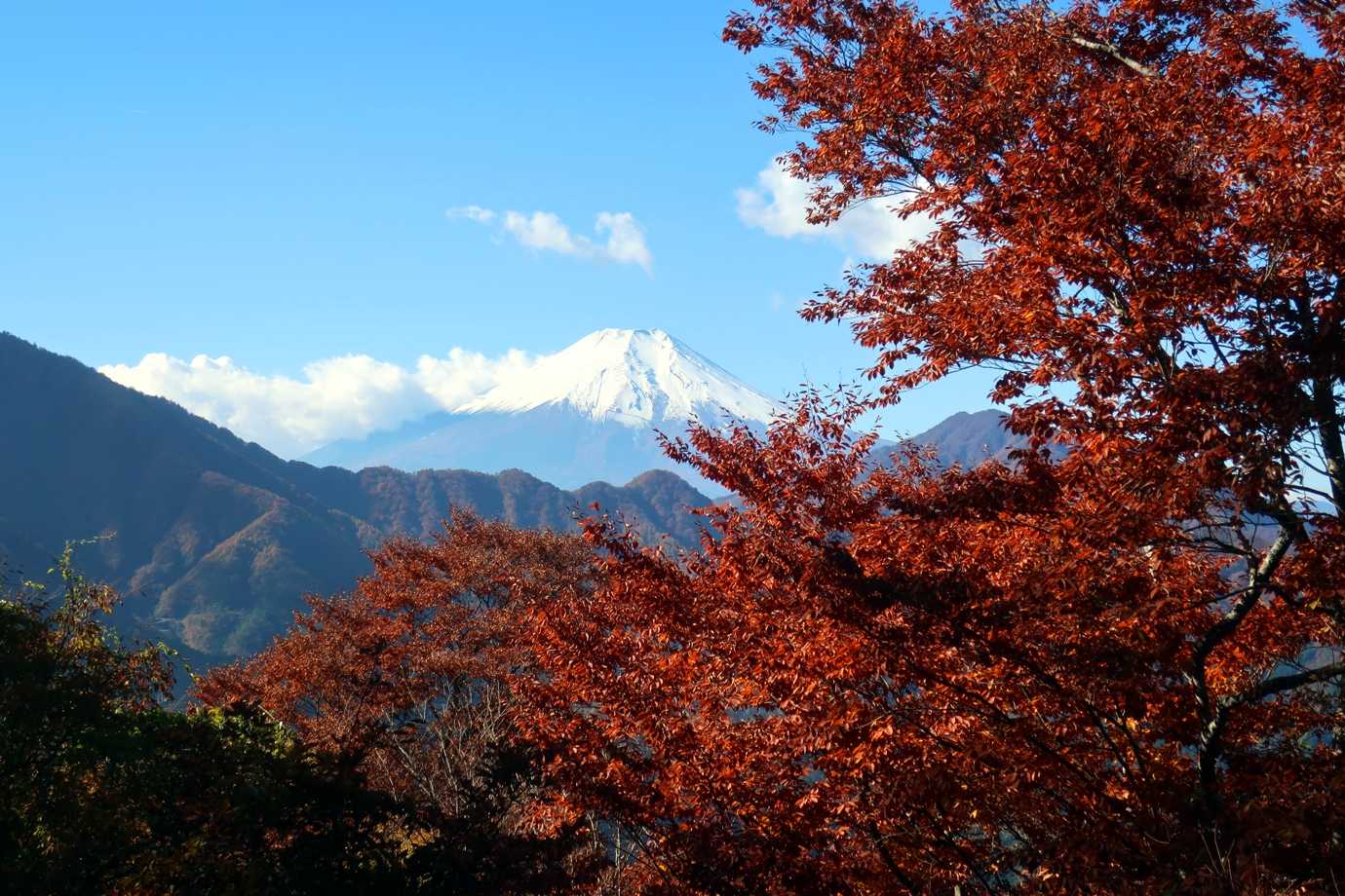 舗装路からの🗻もGOOD！