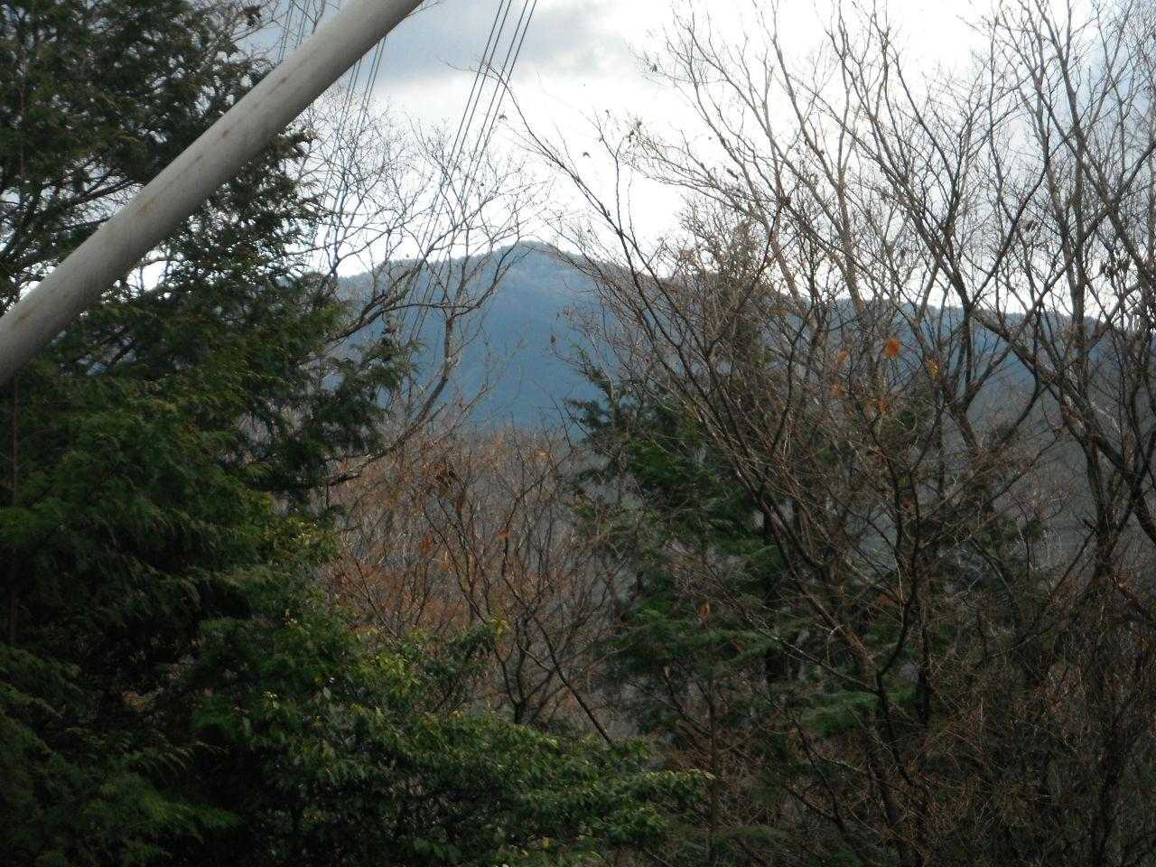 金剛山、山頂付近は少し白くなっているので、霧氷が付いているようです。