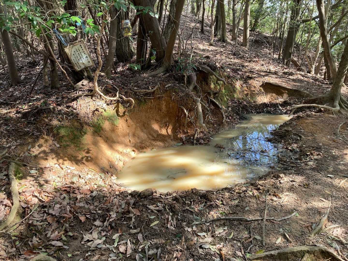 名物猪ノ湯♨️
周囲は土が掘り返された跡多数
湯治客多い模様です