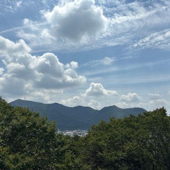 こんな感じです📷