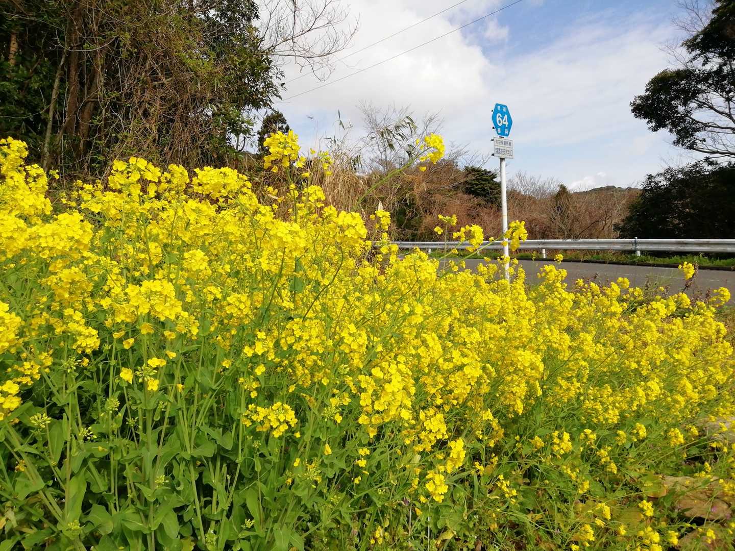 南原登山口。