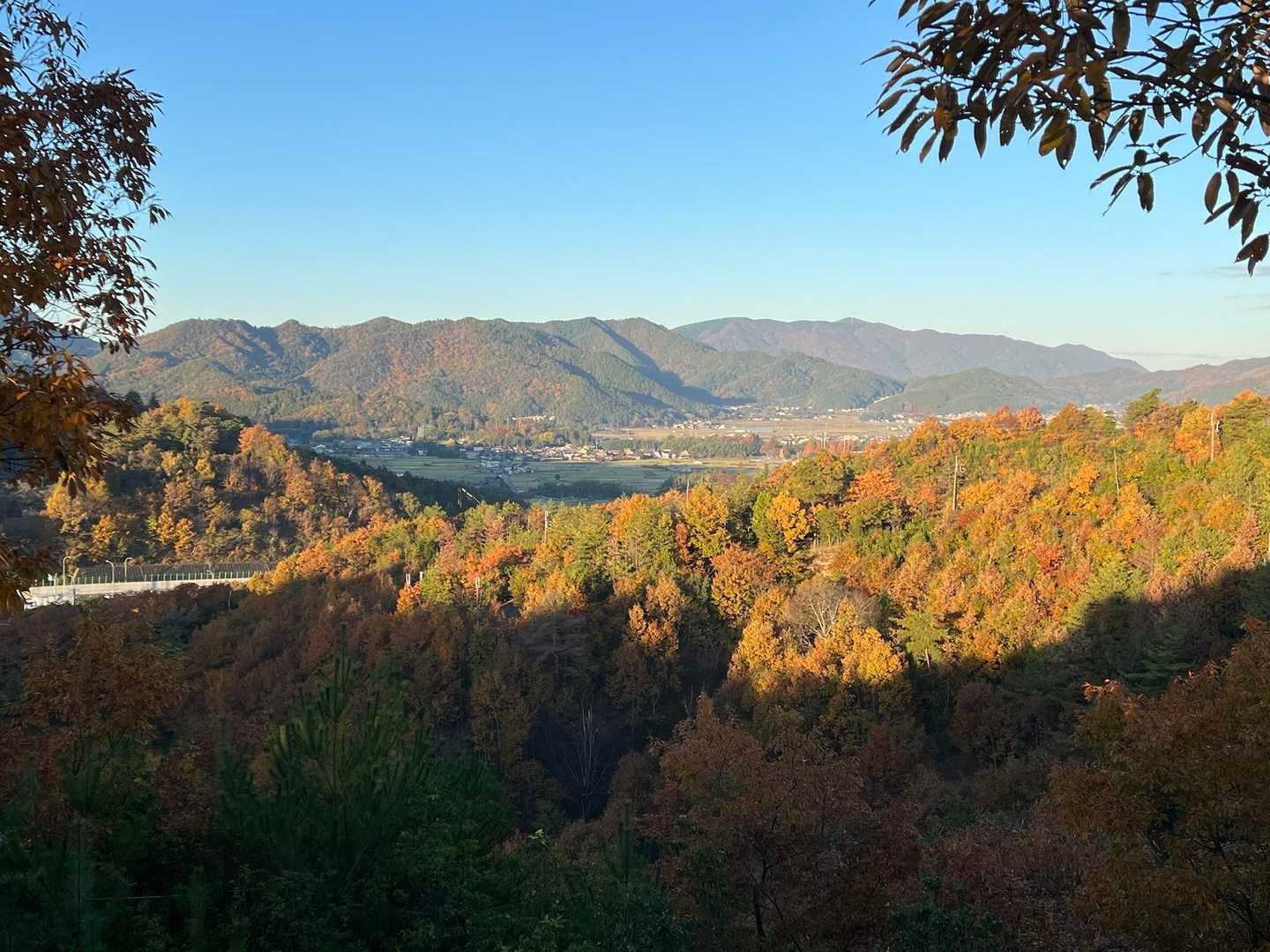 快晴ですねぇ🎶