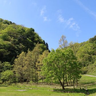 みどり眩し🌿✨

もう、いい予感しかしない😍