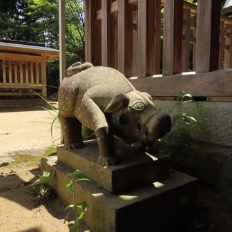 皇御孫命社（すめむめのみことしゃ）前の狛猪
