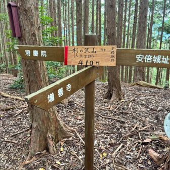 杉ノ沢山到着🏔️