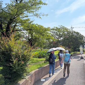 山のススメに出てきた通りの道を歩くとの事で楽しみです！