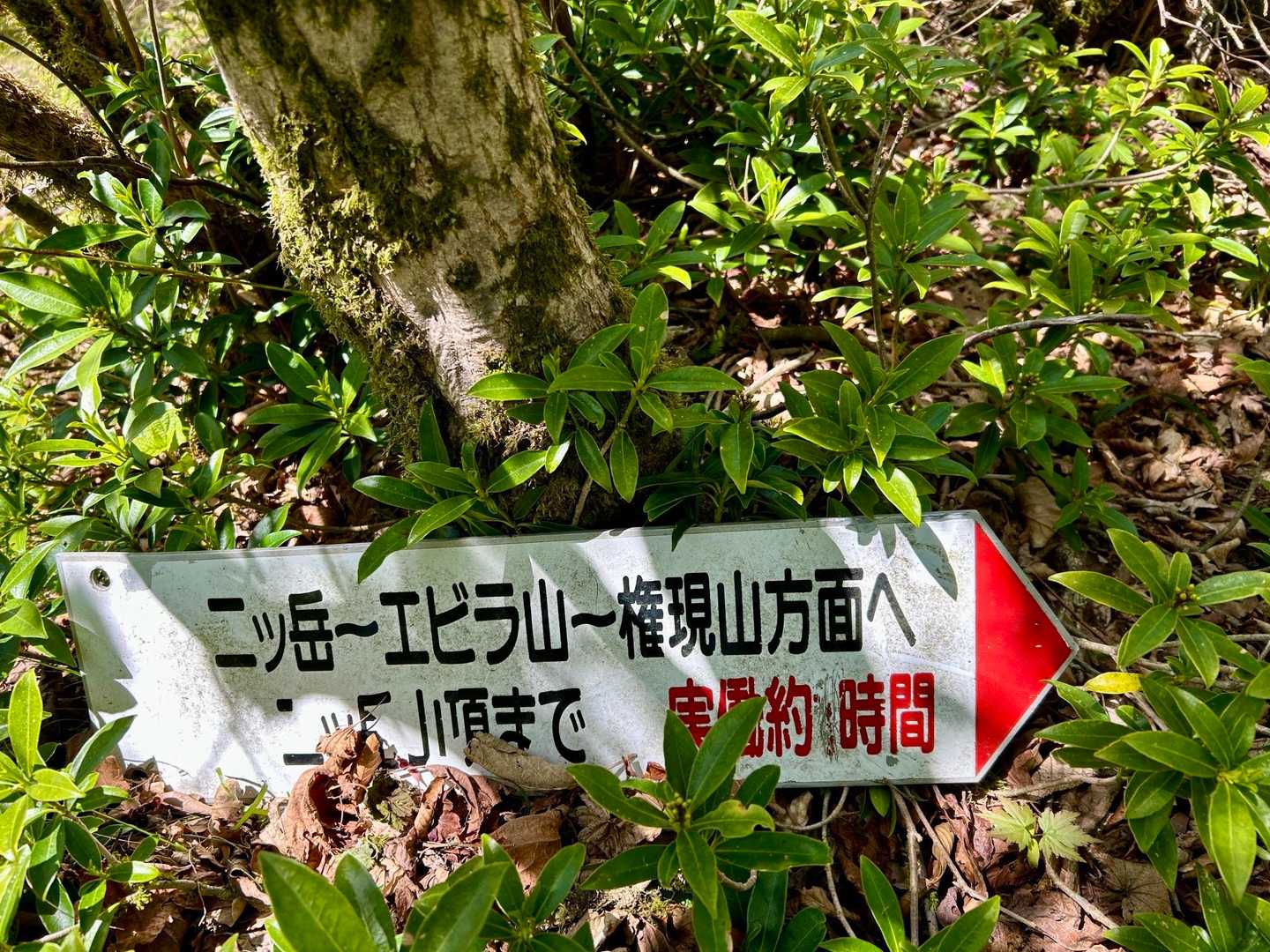 約？？時間