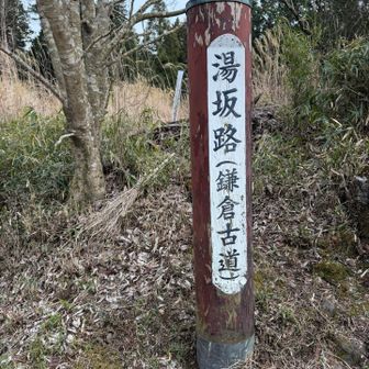 この先延べっとした道がこれまた堪える😢