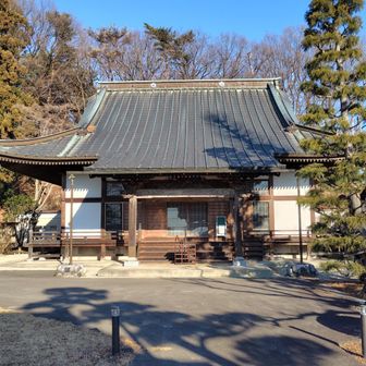 お寺の裏山みたいですね