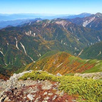 荒川カール