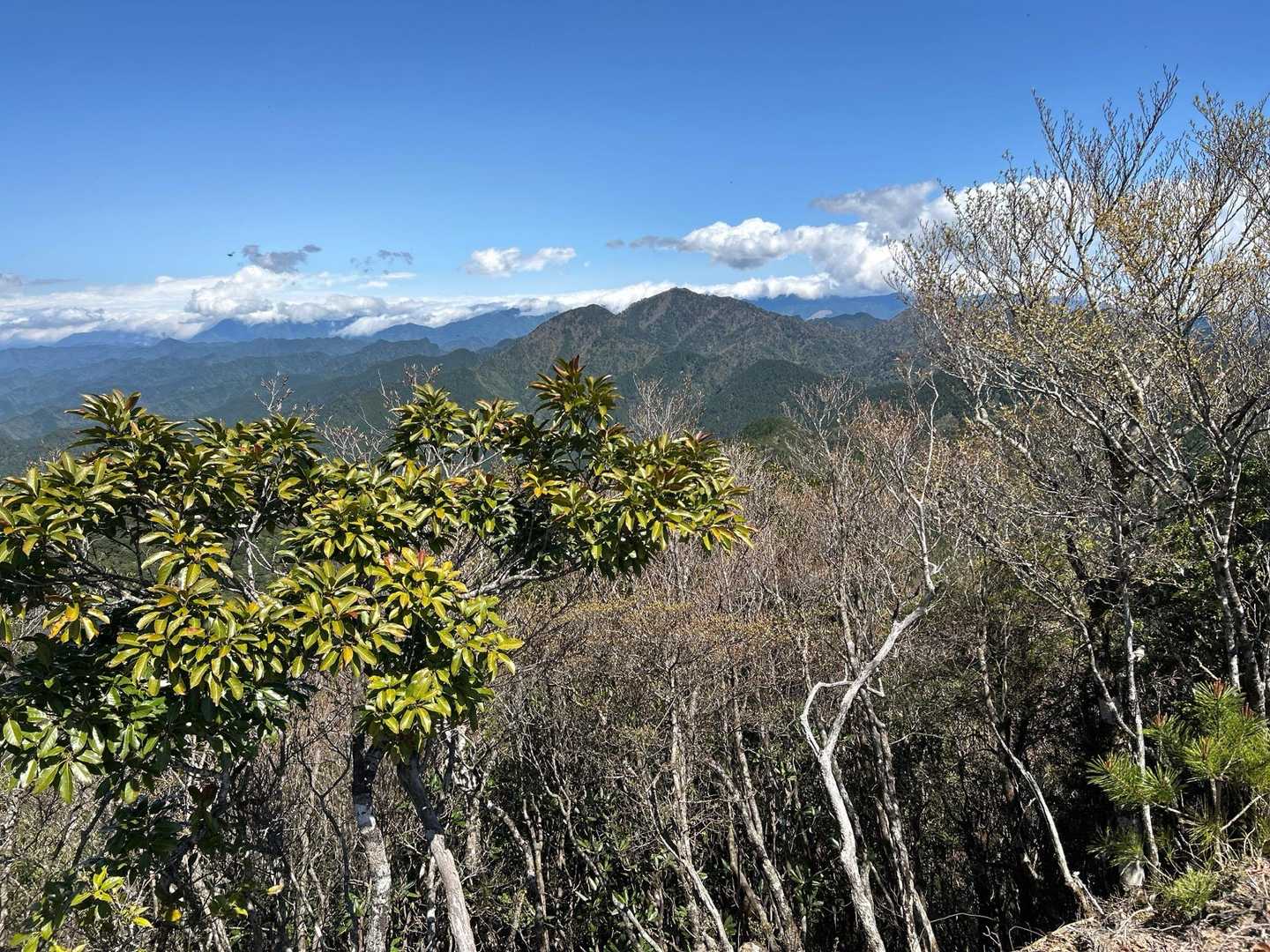 この山は見晴らしがいいです、東側の山々、明日登る大塔山が見えています